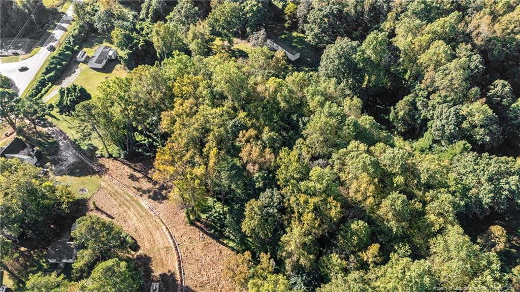 0 Fire Dept Road Smithfield, NC 27577 - Photo 15 of 29 a view of a house with a lush green forest