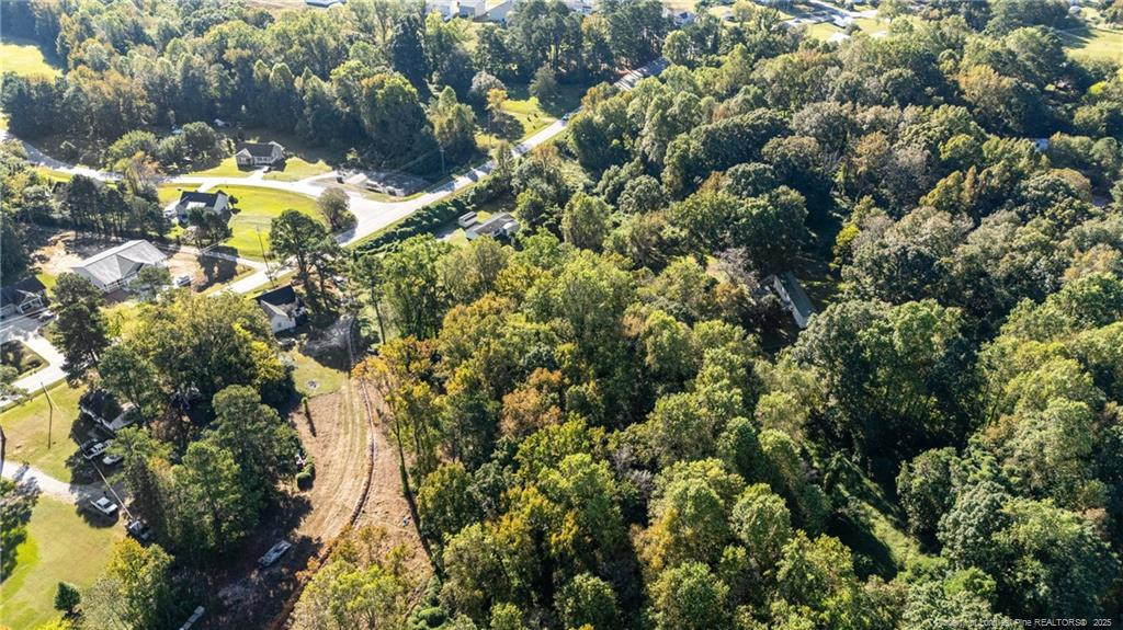 0 Fire Dept Road Smithfield, NC 27577 - Photo 16 of 29 a view of a tree with a flower