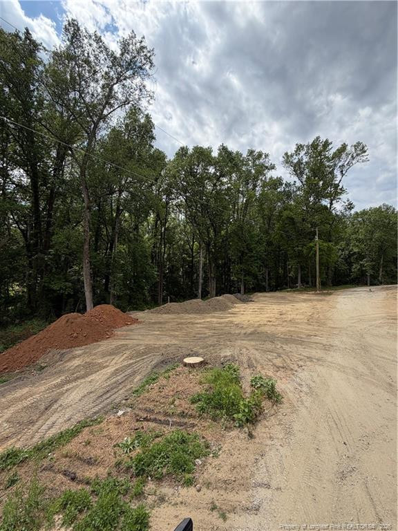 0 Fire Dept Road Smithfield, NC 27577 - Photo 2 of 34 a backyard of a house with lots of green space