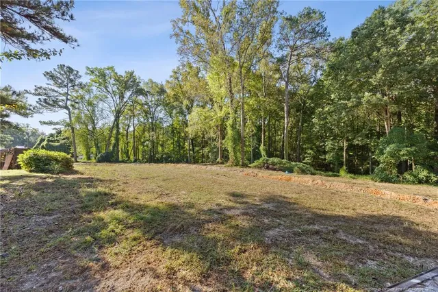a view of a yard with trees