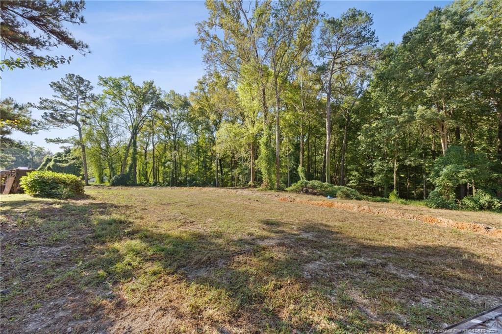 0 Fire Dept Road Smithfield, NC 27577 - Photo 28 of 29 a view of dirt yard with a large trees
