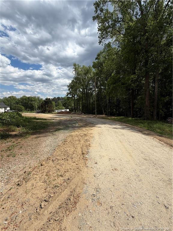 0 Fire Dept Road Smithfield, NC 27577 - Photo 30 of 34 a view of a yard with a lake