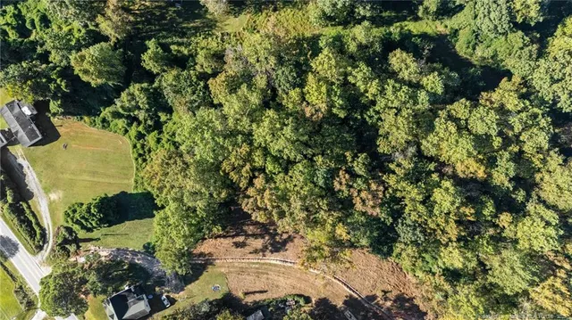 a view of a tree with a yard