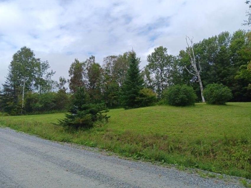 710 Old Turnpike Road Mount Holly, VT 05758 - Photo 3 of 9