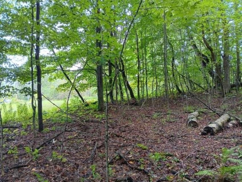 710 Old Turnpike Road Mount Holly, VT 05758 - Photo 8 of 9