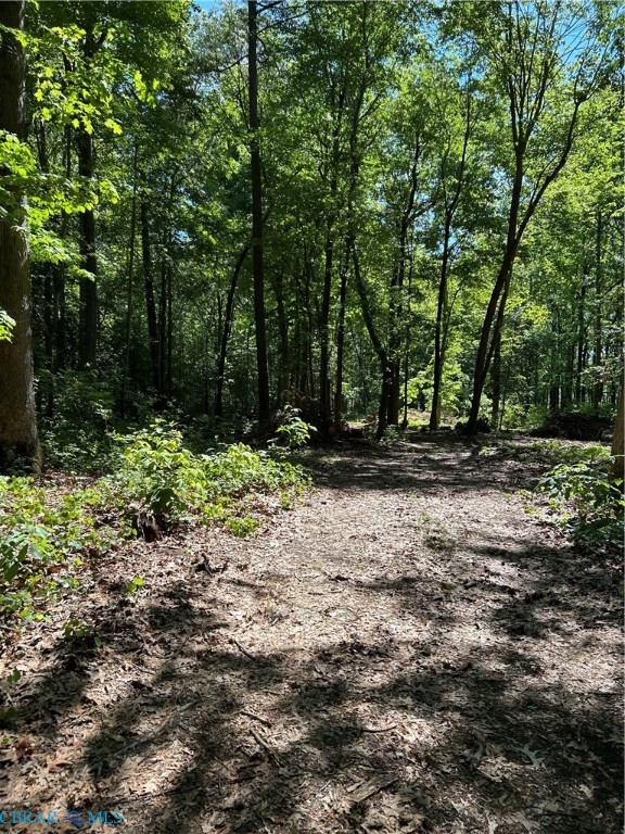 1169 Harris Road Road Kilmarnock, VA 22482 - Photo 2 of 9