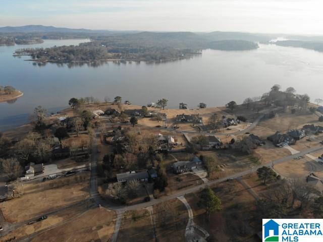 107 Viewpoint Circle Pell City, AL 35128 - Photo 5 of 44