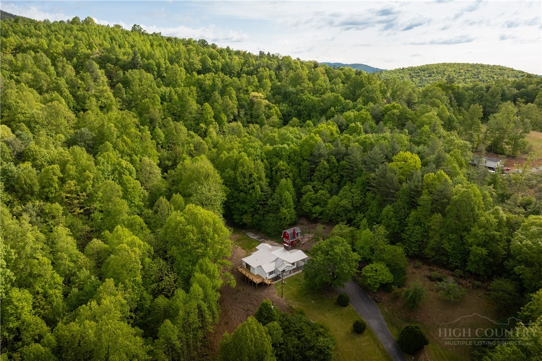 466 Stony Fork Road Deep Gap, NC 28618 - Photo 3 of 49