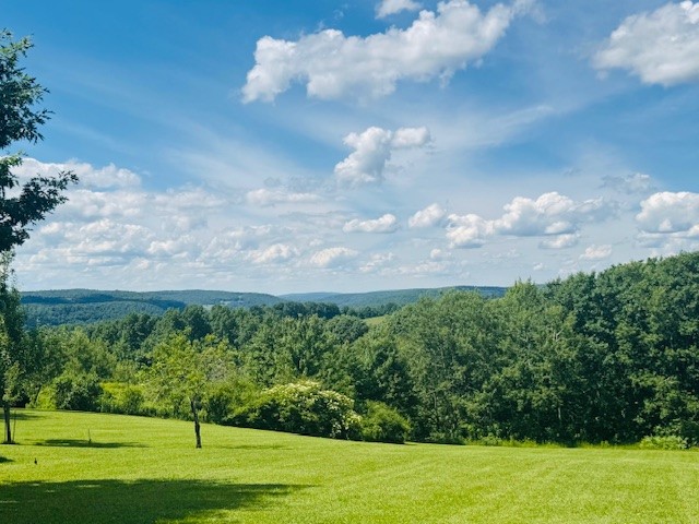 31 Myslivecek Road Lowman, NY 14861 - Photo 44 of 50