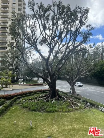 a view of swimming pool with a yard and large trees