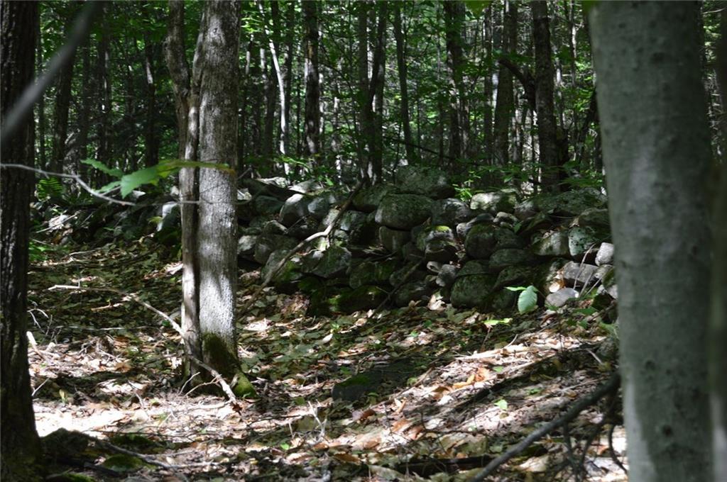 0 High Cut Road Garland, ME 04939 - Photo 4 of 16 Photo