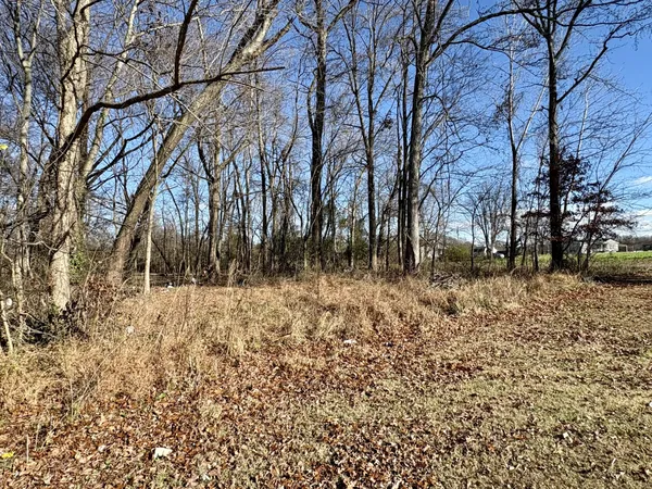 a view of backyard of a house