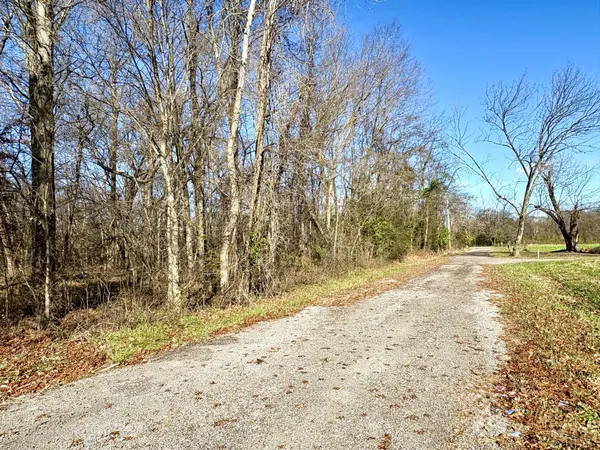 a view of dirt yard with a tree