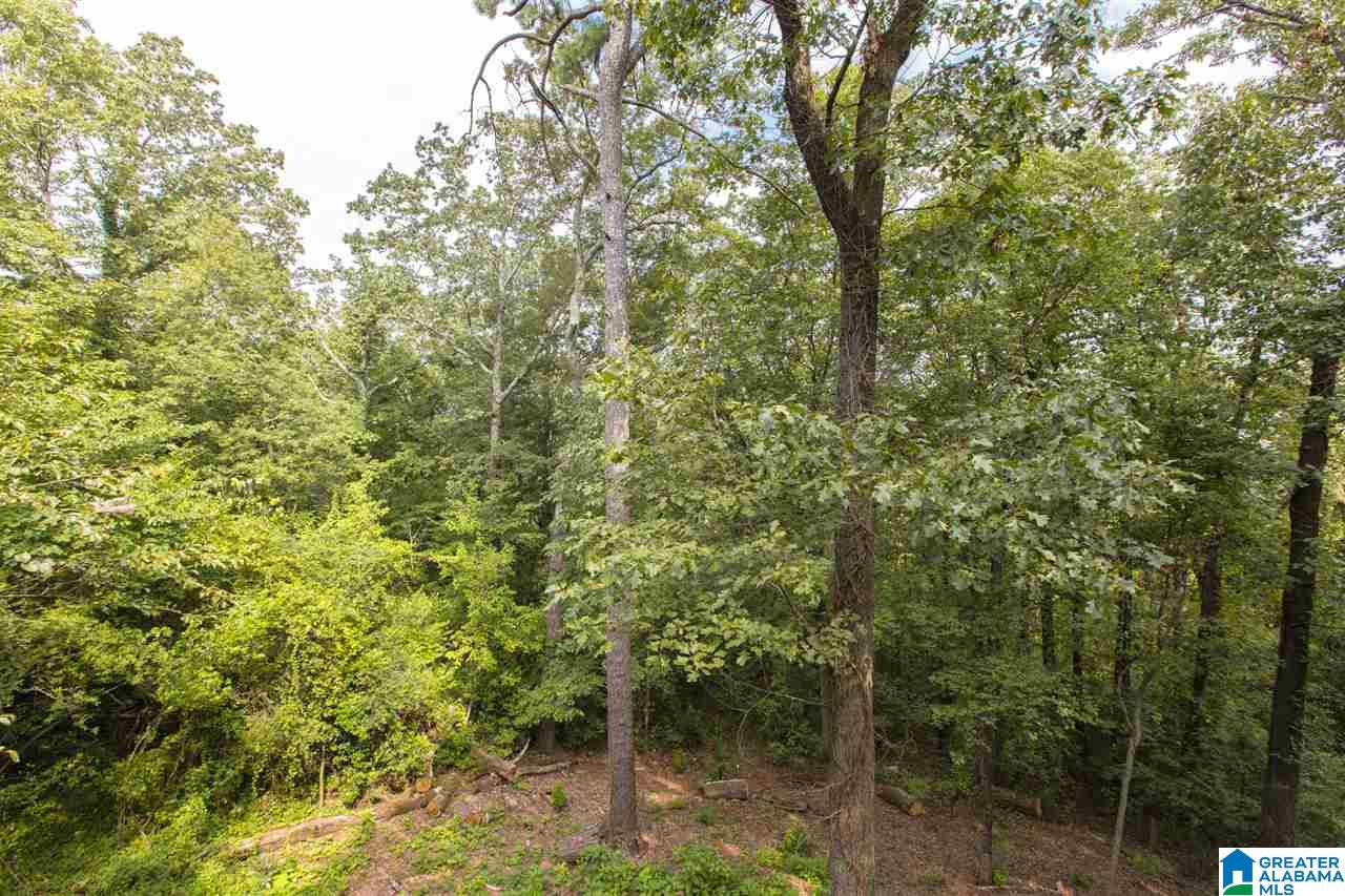 1150 Shades Crest Road Birmingham, AL 35226 - Photo 16 of 18