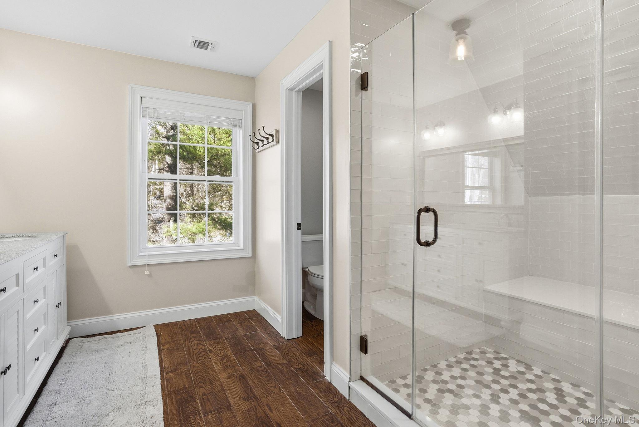 19 Lillian Road Mahopac, NY 10541 - Photo 25 of 50 Bathroom featuring vanity, dark wood-style flooring, and a stall shower