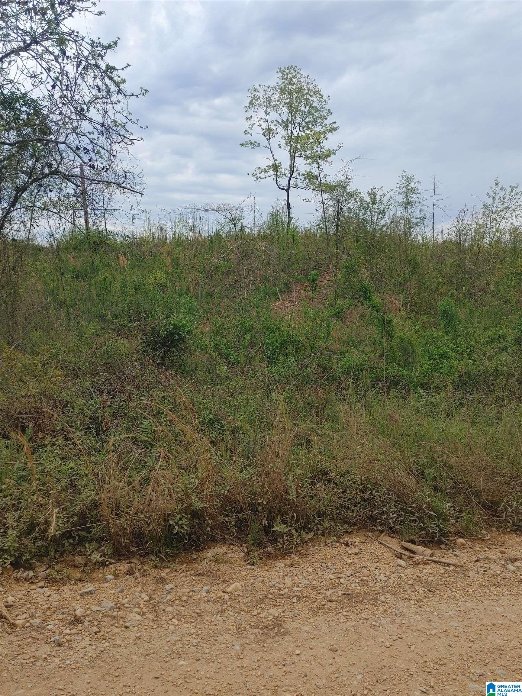 0 County Road 199, Unit 17 Clanton, AL 35045 - Photo 5 of 5
