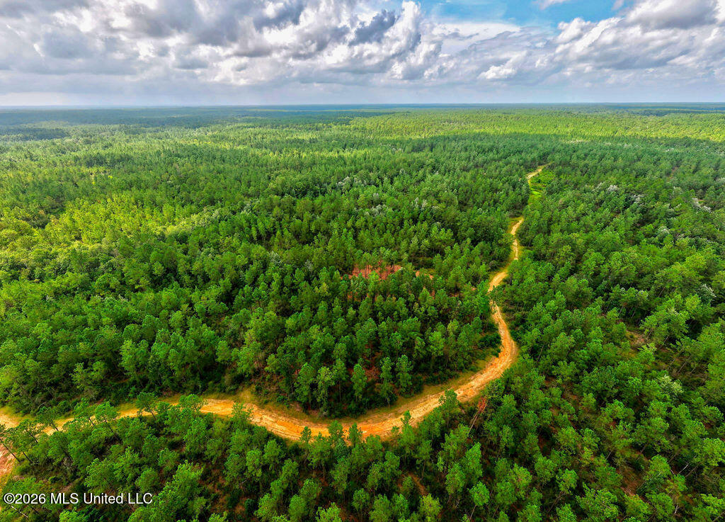 Nhn Lot 2 Nhn Road Saucier, MS 39574 - Photo 77 of 87 HiddenCreekEstatesNoLines-34