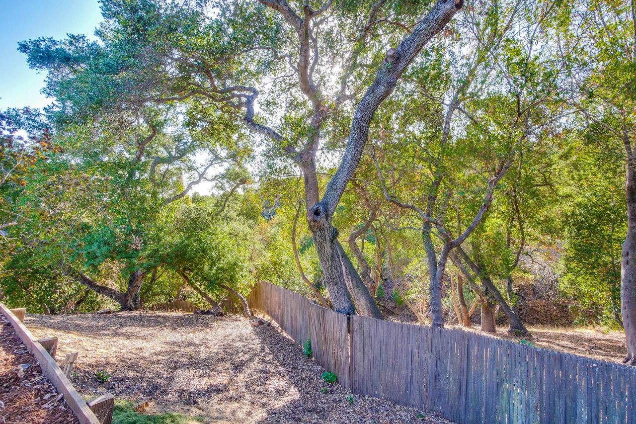 10551 Magdalena Road Los Altos Hills, CA 94024 - Photo 43 of 45 a view of a yard with large trees and wooden fence