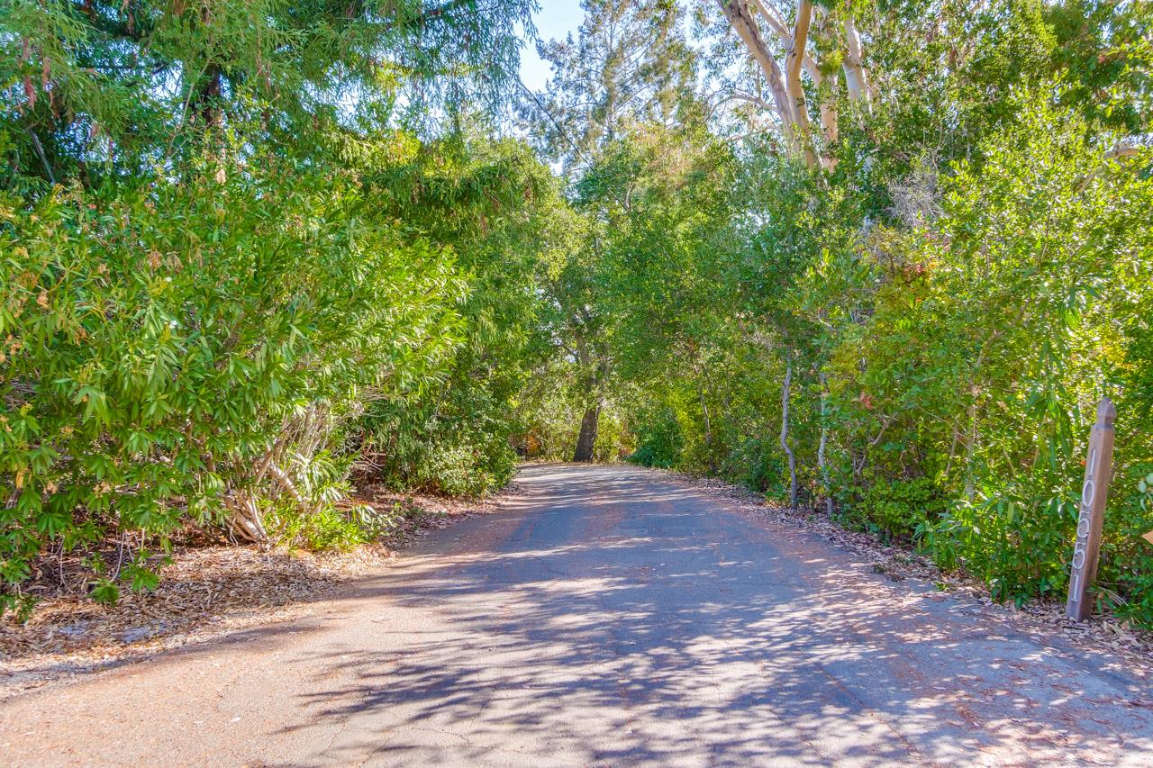 10551 Magdalena Road Los Altos Hills, CA 94024 - Photo 45 of 45 a view of a yard with plants and large trees