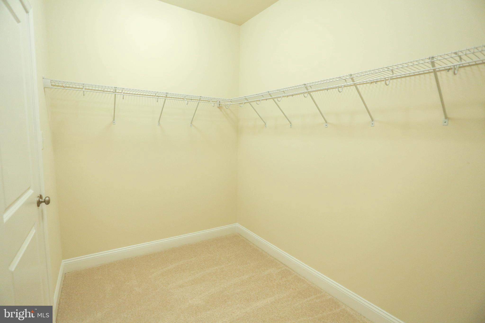 7142 Proclamation Place Frederick, MD 21703 - Photo 20 of 42 Master Walk-In Closet