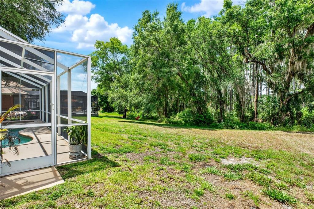 9137 Creedmoor Lane New Port Richey, FL 34654 - Photo 3 of 62