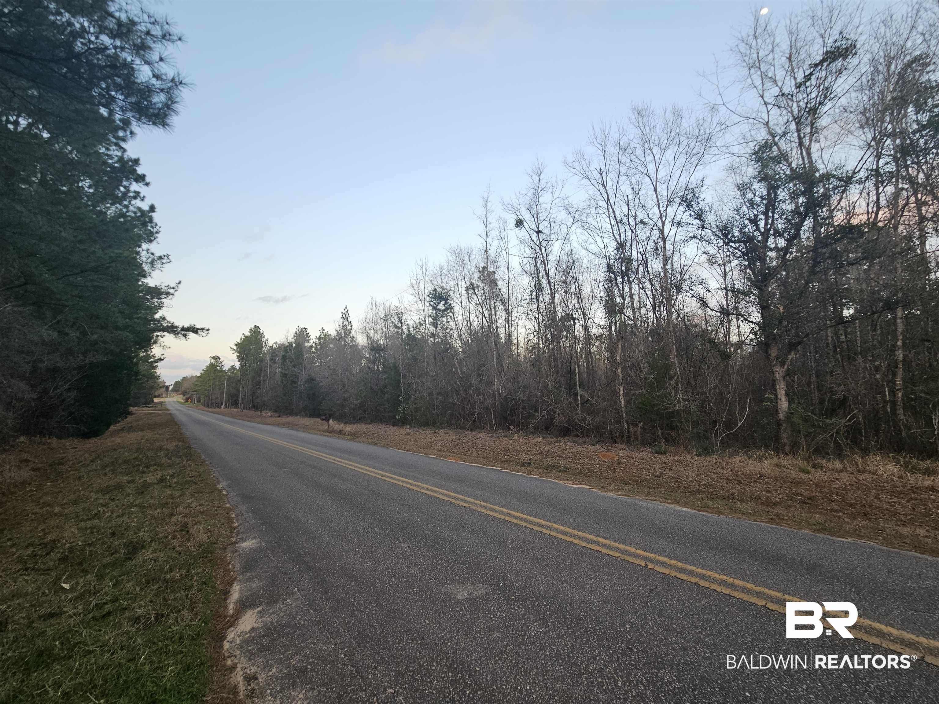 0 Lee Road Robertsdale, AL 36567 - Photo 2 of 4 Gallery Image 2
