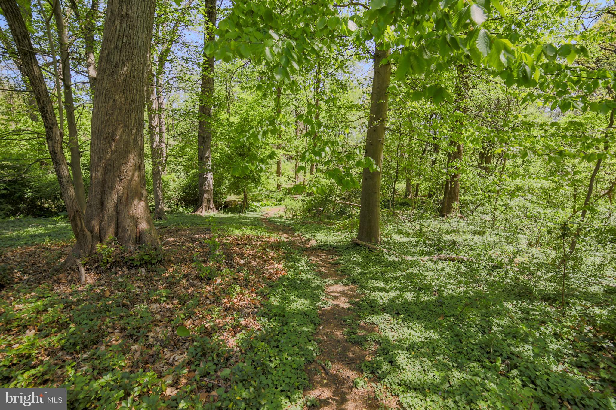 3542 Darby Road Haverford, PA 19041 - Photo 54 of 54 Gallery Image 54