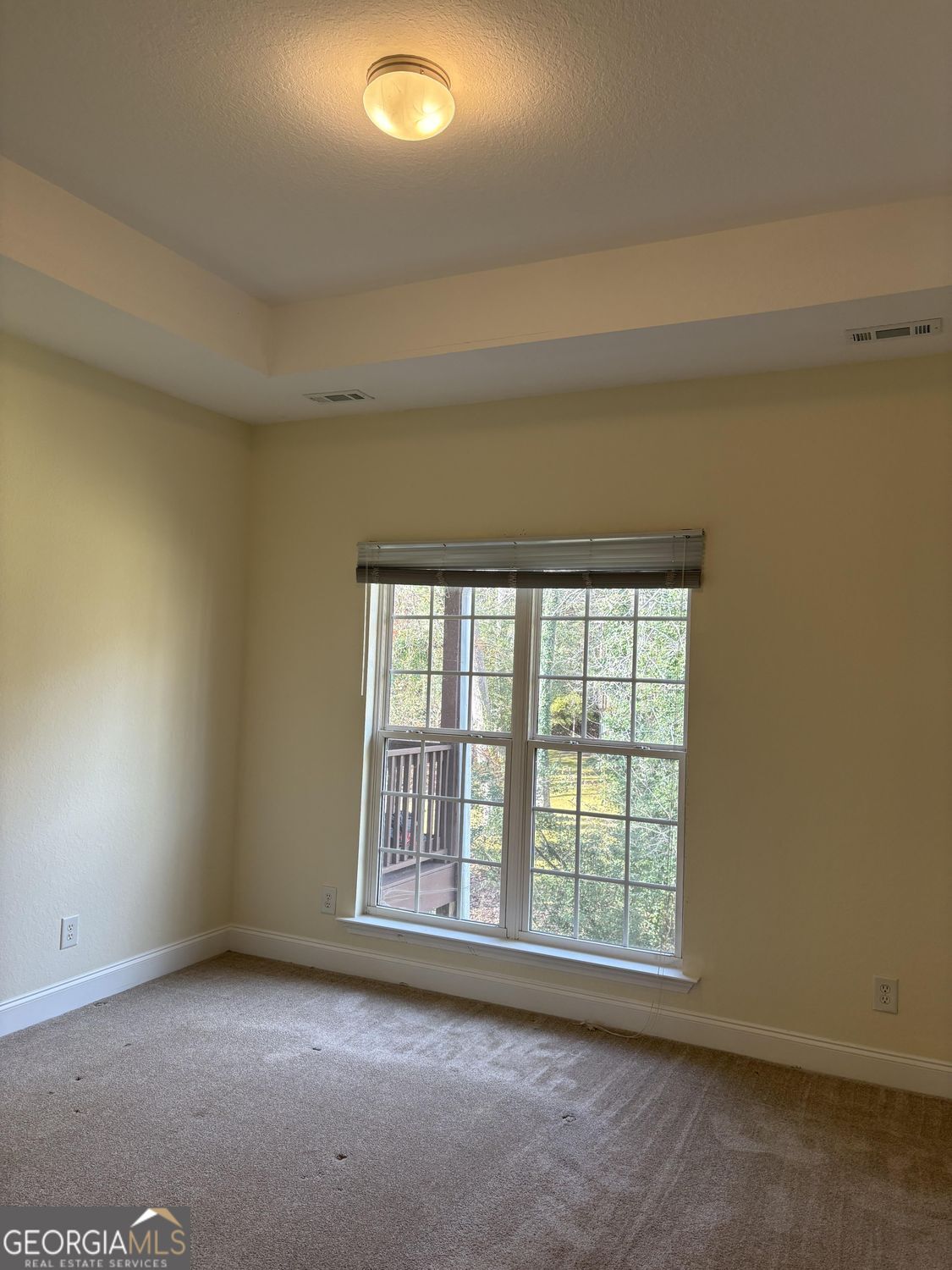 74 Lockerbie Court, Unit 202 Clayton, GA 30525 - Photo 15 of 23 master bed trey ceiling.jpg