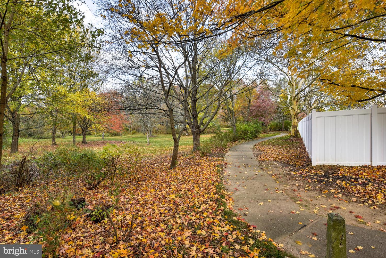 5 Glengarry Way Princeton Junction, NJ 08550 - Photo 58 of 63 a view of backyard with tree