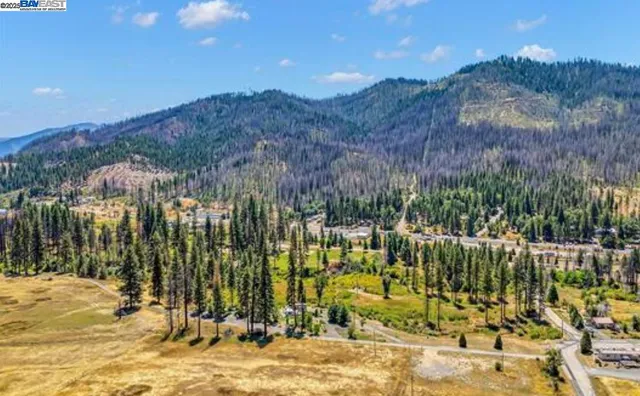 a view of a yard with plants
