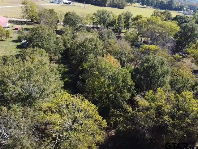 a view of a garden with plants