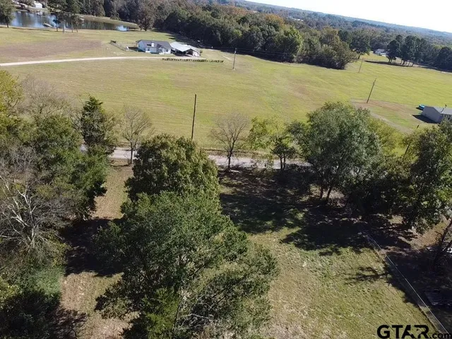 a view of a forest with a yard