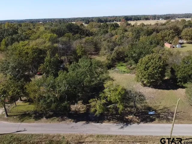 a view of a lake with large trees