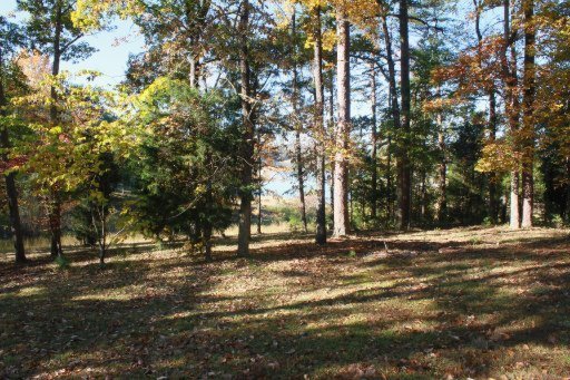 2437 Black Oak Ridge Road Sevierville, TN 37876 - Photo 3 of 32 Additional Photo