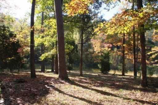 2437 Black Oak Ridge Road Sevierville, TN 37876 - Photo 24 of 32 Additional Photo