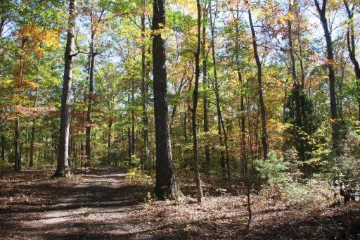 2437 Black Oak Ridge Road Sevierville, TN 37876 - Photo 29 of 32 Additional Photo
