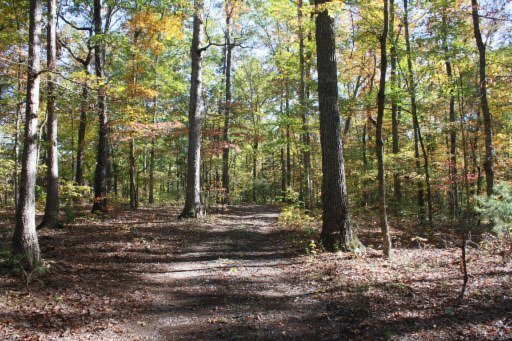 2437 Black Oak Ridge Road Sevierville, TN 37876 - Photo 30 of 32 Additional Photo