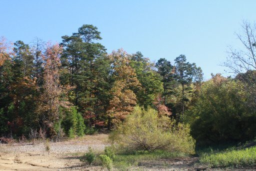 2437 Black Oak Ridge Road Sevierville, TN 37876 - Photo 32 of 32 Additional Photo