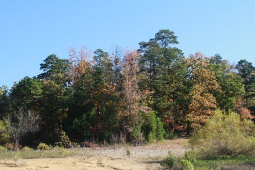 2437 Black Oak Ridge Road Sevierville, TN 37876 - Photo 8 of 32 Additional Photo