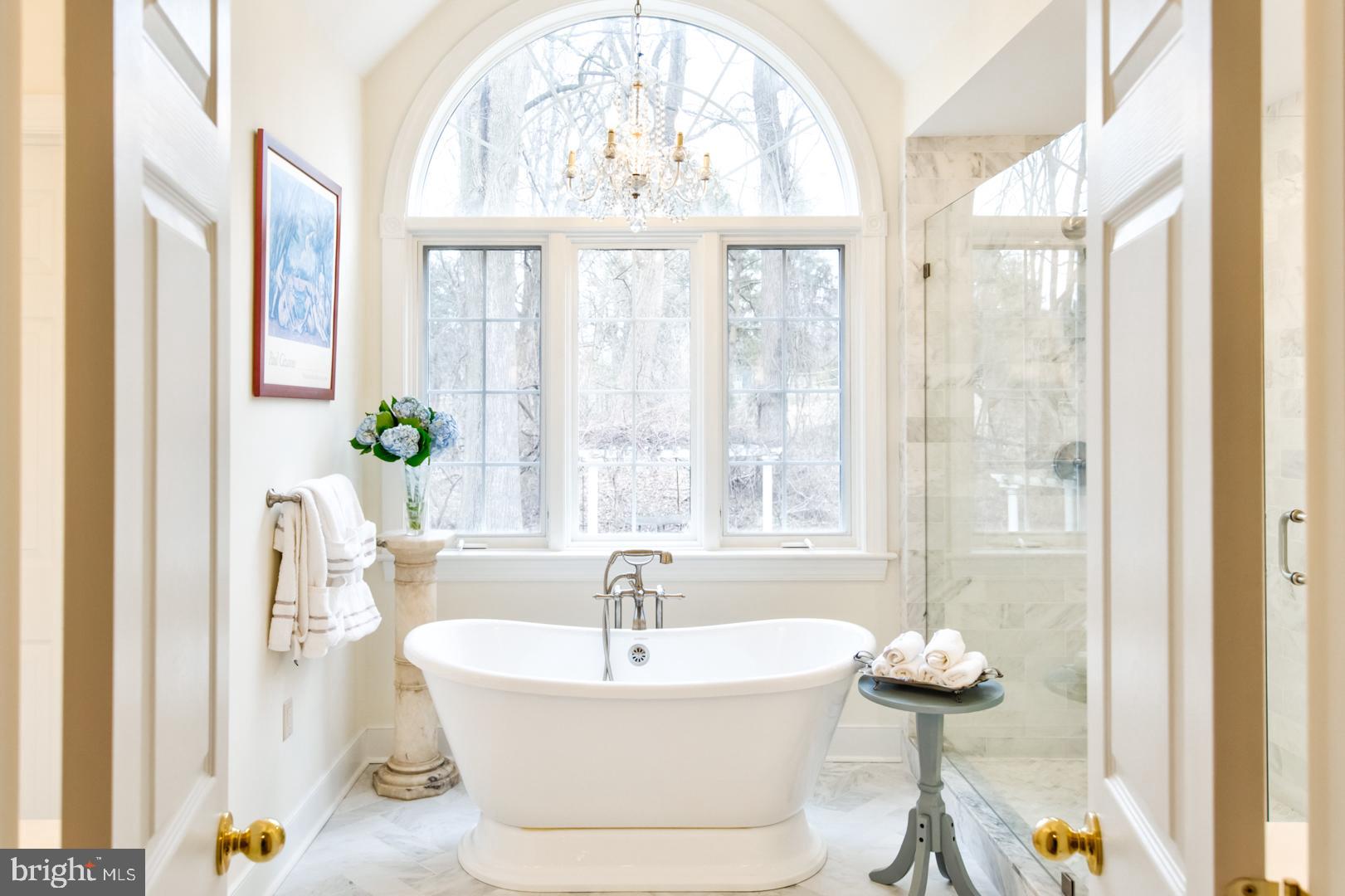 985 South Waterloo Road Devon, PA 19333 - Photo 39 of 64 New freestanding tub