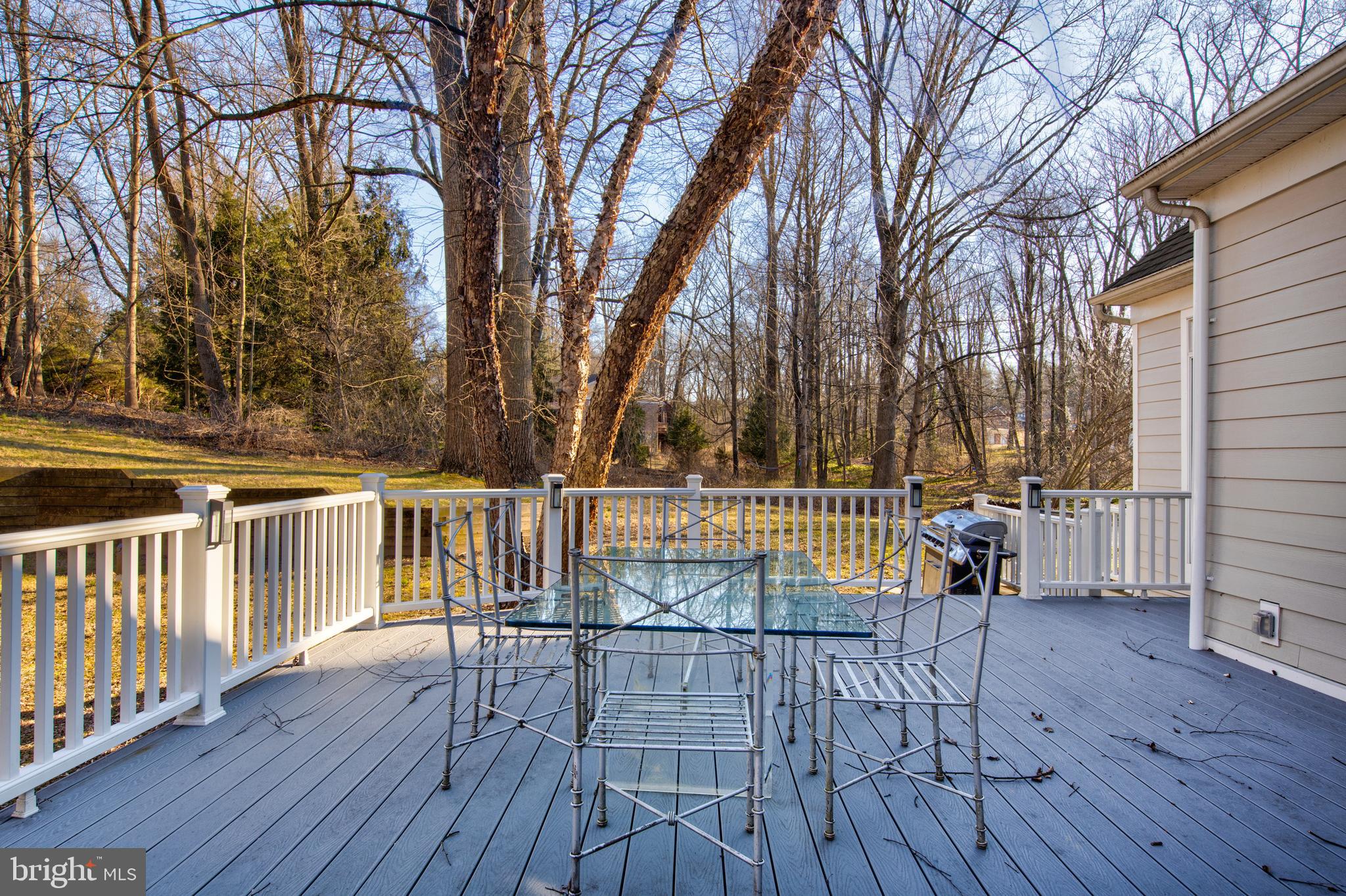 985 South Waterloo Road Devon, PA 19333 - Photo 53 of 64 The View from deck to back yard