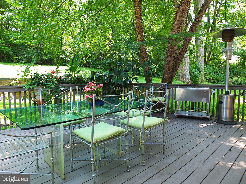 985 South Waterloo Road Devon, PA 19333 - Photo 54 of 64 The past spring's view of the deck