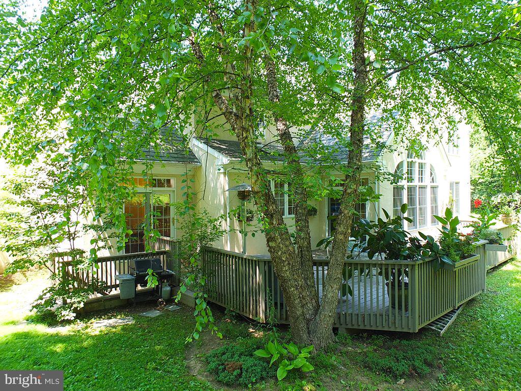 985 South Waterloo Road Devon, PA 19333 - Photo 56 of 64 The view of the back in past spring