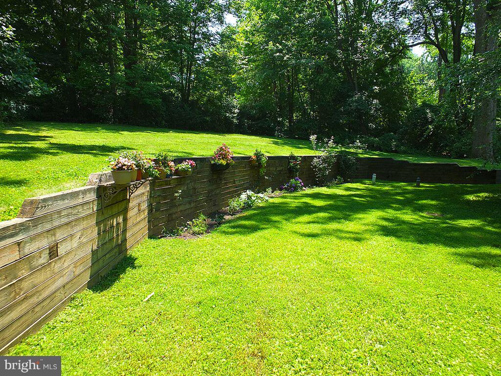 985 South Waterloo Road Devon, PA 19333 - Photo 60 of 64 The back yard