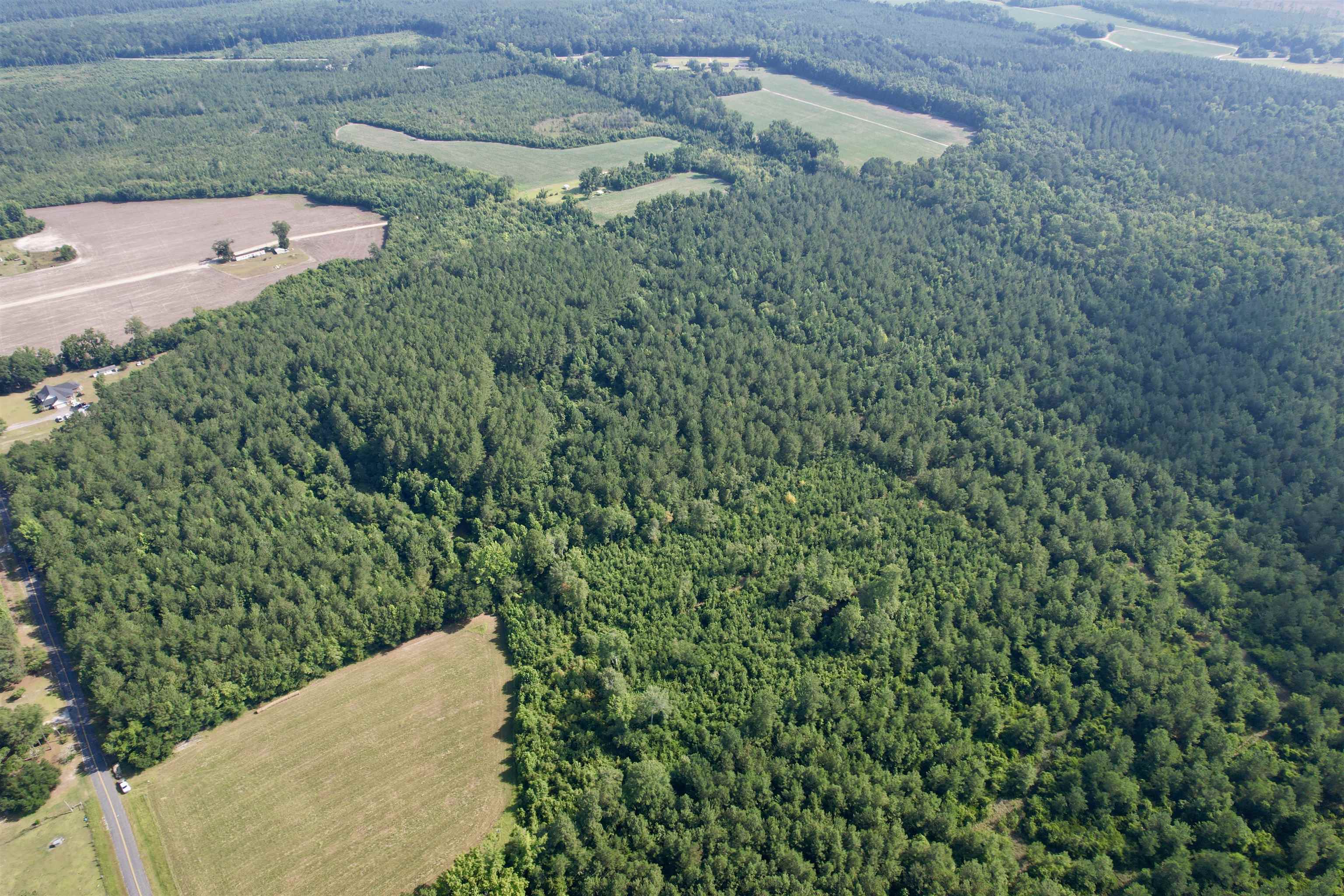 101.49-acres - Epps Road New Zion, SC 29111 - Photo 15 of 24