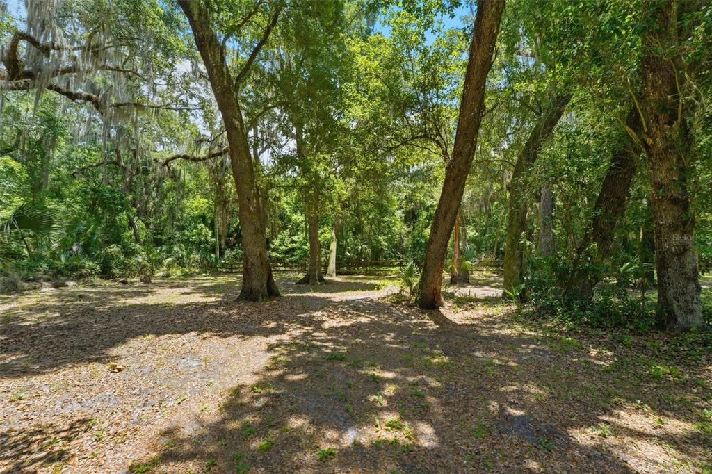381 North Jungle Road Geneva, FL 32732 - Photo 44 of 55
