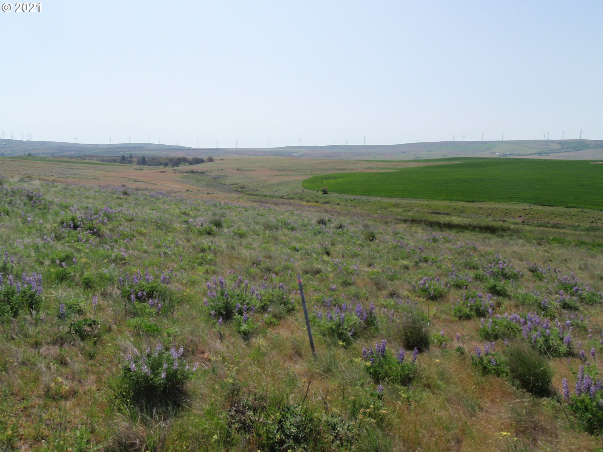Tbd Goldendale, WA 98620 - Photo 1 of 2 Gallery Image 1