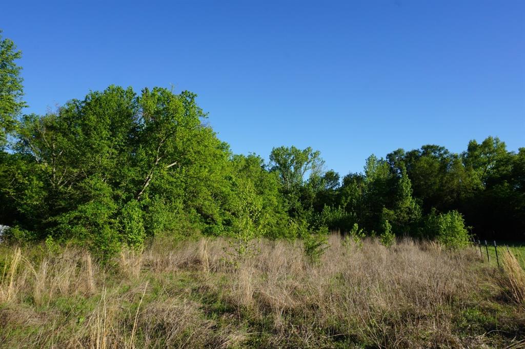 6902 Stella Street Murchison, TX 75778 - Photo 11 of 33