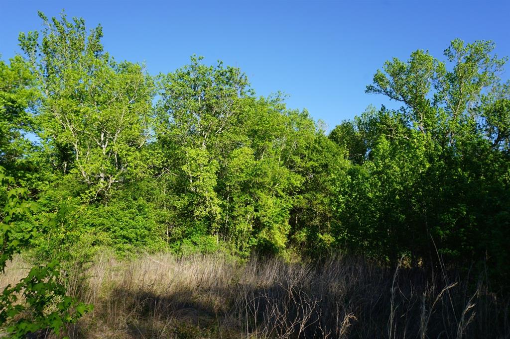 6902 Stella Street Murchison, TX 75778 - Photo 12 of 33