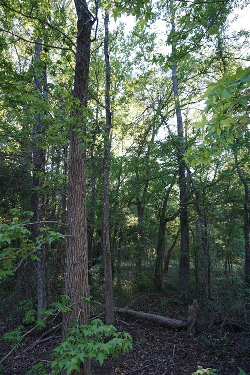 6902 Stella Street Murchison, TX 75778 - Photo 16 of 33